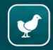 PigeonGrid Club